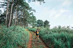 BIB: 
                            <button type="button" onclick="openModal(25652154)" class="btn btn-primary btn-sm float-right btn-popup" data-toggle="modal" data-target=".modal-high-quality">
                        <i class="fas fa-shopping-cart"></i> Add to Cart
                    </button>
                                            <button type="button" onclick="isThisMe(25652154, true)" class="btn btn-success btn-sm float-right btn-popup btn-isme hidden" data-toggle="tooltip" data-placement="bottom" title="นี่คือรูปของคุณใช่ไหม คลิกที่นี่เพื่อเอาเข้าอัลบั้ม">
                        <i class="fas fa-plus"></i> Add to album
                    </button>
                    <button type="button" onclick="isThisMe(25652154, false)" class="btn btn-warning btn-sm float-right btn-popup btn-isnotme hidden">
                        <i class="fas fa-ban"></i> Remove from album
                    </button>